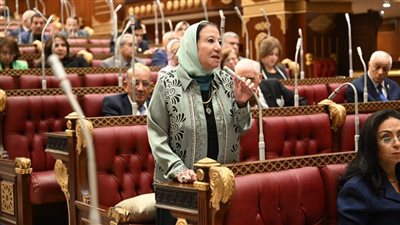 برلمانية: حكمة الرئيس السيسي جنّبت مصر ويلات الحروب وعززت قوة الجيش للدفاع عن الأمن القومي