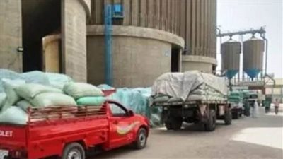  محافظ أسوان يتابع توريد 551 ألفًا و175 طنًا بنسبة 112.7% بالصوامع والشون والبناكر