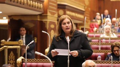 خارجية الشيوخ: مصر تتحرك بديناميكية لنزع فتيل التوتر الإقليمي ومواجهة خطاب العدوان