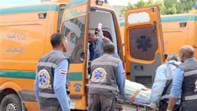 لعدم إجادتهما السباحة.. مصرع طفلين غرقًا بترعة ري قرية الشعشاعي بحوش عيسى 