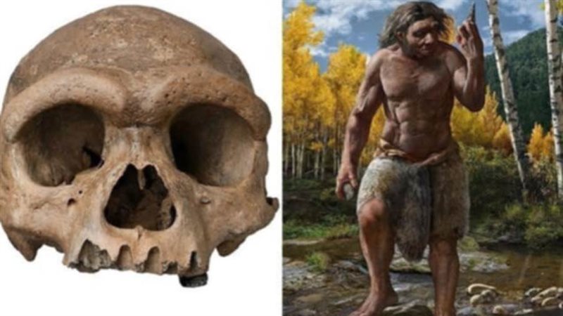 الرجل التنين