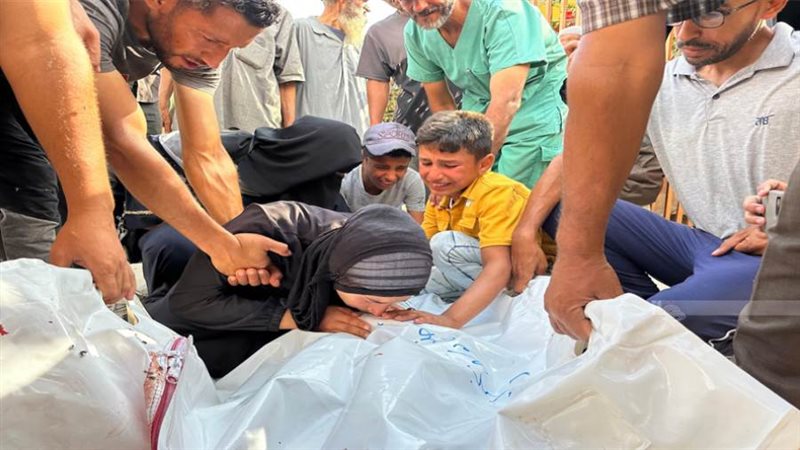 بوابة روز اليوسف