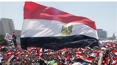 سياسيون: ثورة 30 يونيو ستظل محفورة في الذاكرة الوطنية 