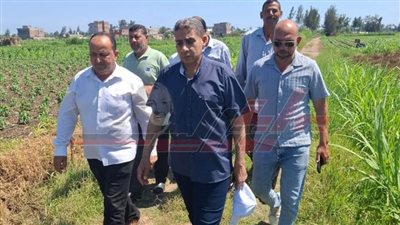 وكيل زراعة كفر الشيخ يوجه بسرعة علاج أى إصابات حشرية وأمراض فطرية