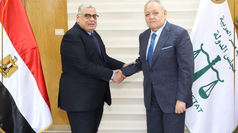 مجلس الدولة