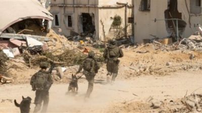  زامير: سنصل بالفترة القريبة إلى ما حددناه للمرحلة الحالية من 