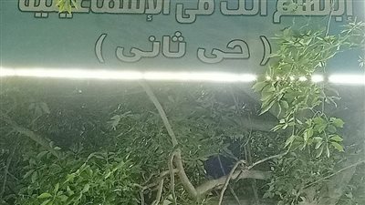 حي ثان الإسماعيلية يتابع تطوير ميدان العشريني وحديقة الأندلس