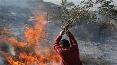 مستوطنون يشعلون النيران في أراضٍ زراعية شرق رام الله