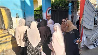 طلاب البحيرة: امتحان اللغة الإنجليزية معظمه من النماذج الاسترشادية وأفضل من اللغة العربية والفيزياء 