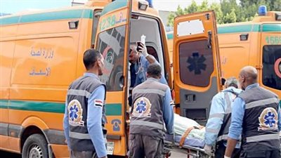 مصرع طفل دهسًا تحت عجلات النقل الثقيل بمدينة أسوان الجديدة