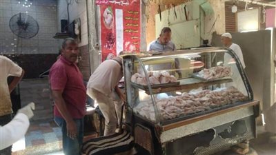 ضبط 532.5 لحوم وأسماك مجهولة المصدر خلال حملة بيطرية وصحية بأسوان 