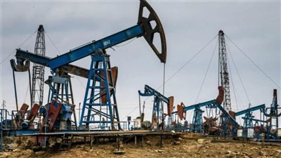 عاجل .. كنز مصري عملاق في جوف الصحراء الغربية