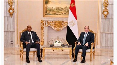 عاجل .. الرئيس السيسي يستقبل رئيس مجلس السيادة السوداني