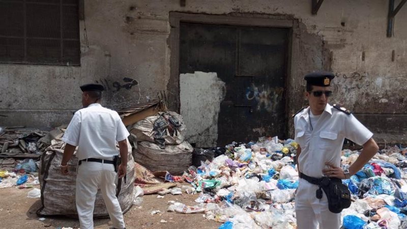 الإسكندرية نسرين