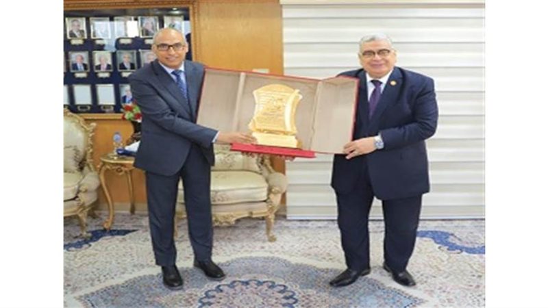 مجلس الدولة