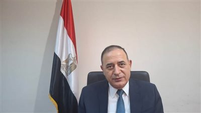 رئيس محكمة جنوب أسيوط: بدء تلقي طلبات الترشيح لمجلس الشيوخ