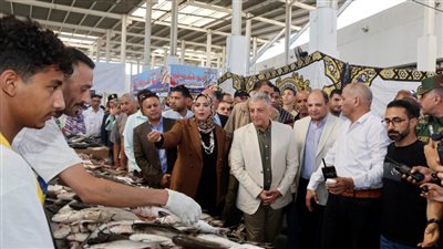 محافظ الإسماعيلية يطلق مبادرة تخفيض أسعار الأسماك 