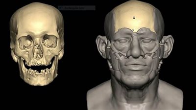 عاجل.. الحمض النووي يكشف رابط وراثي لأحد المصريين القدماء 