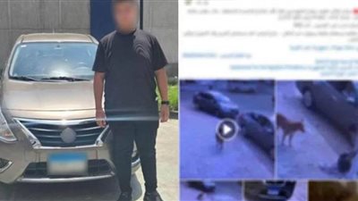 ضبط شخص بالجيزة لقيامه بتسميم الكلاب الضالة