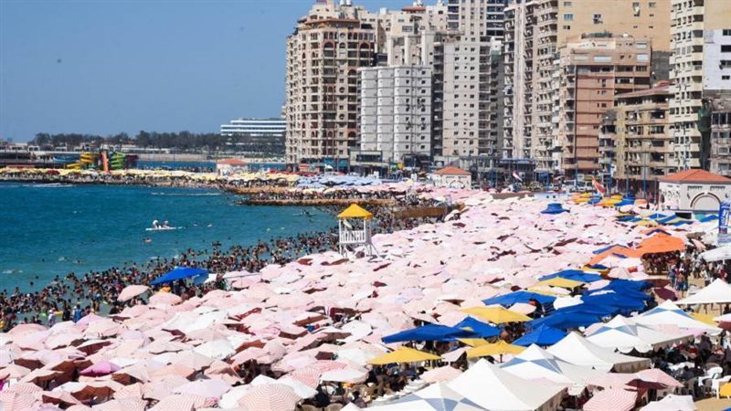 محافظ الإسكندرية