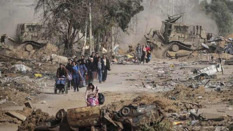 بوابة روز اليوسف