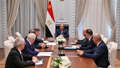 عاجل.. الرئيس السيسي يلتقي مدير 