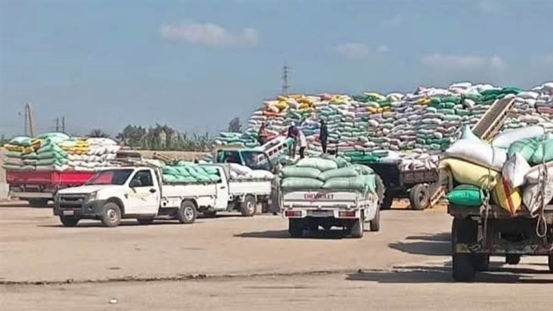 توريد القمح