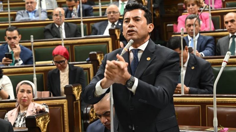 د. أشرف صبحى