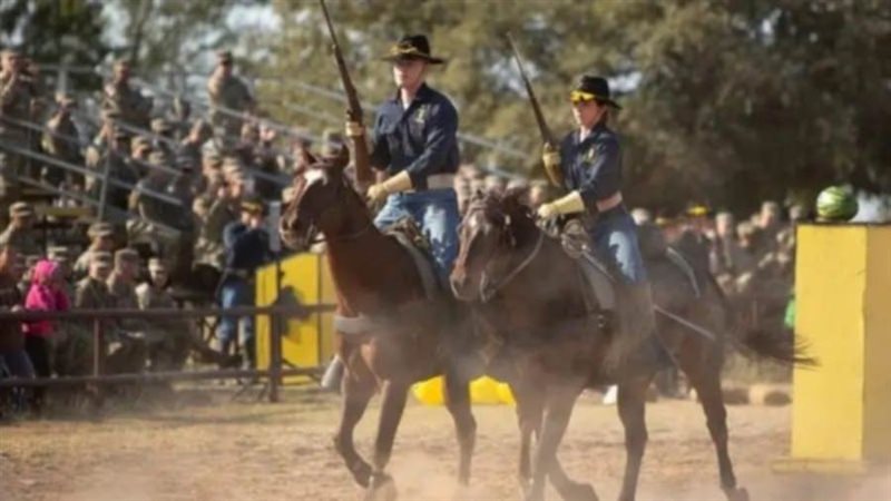 خيول الجيش الأمريكي