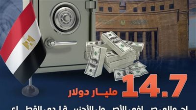 14.7 مليار دولار إجمالي صافي الأصول الأجنبية لدي القطاع المصرفي المصري