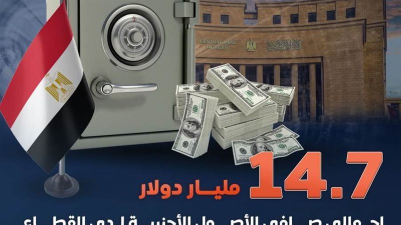 الأصول النقدية الأجنبية