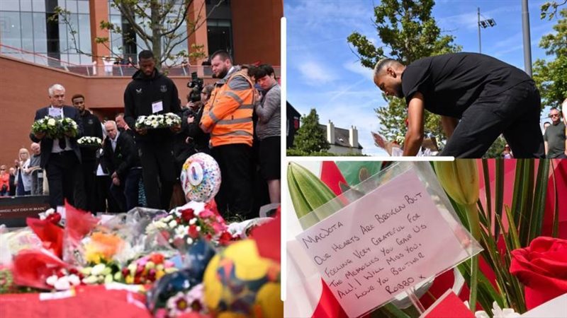 بوابة روز اليوسف