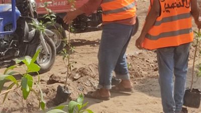 جهاز التطوير والتجميل بالإسماعيلية يواصل أعمال التجميل ورفع الكفاءة للحفاظ على المظهر الحضاري للمحافظة