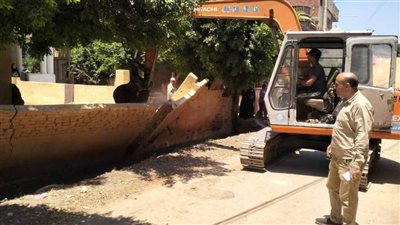 البحيرة: إزالة 40 حالة تعد على أراضي الدولة