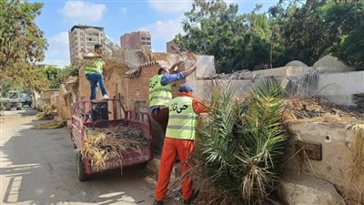 رفع ١٥٠ طن من المخلفات والقمامة بحي ثان الإسماعيلية