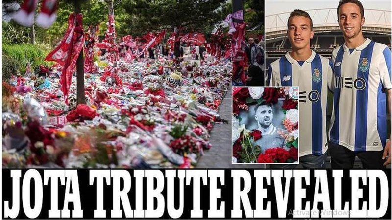 جوتا واندريه