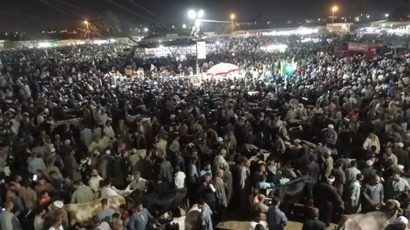 جانب من السوق