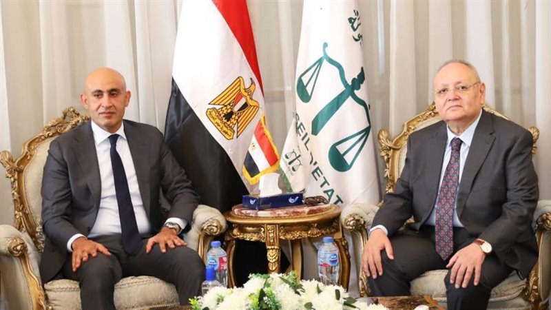 مجلس الدولة