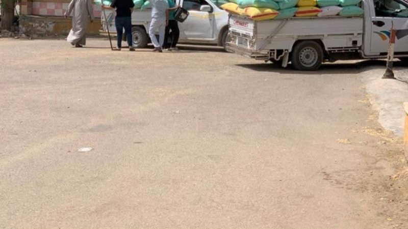 جانب من توريد القمح