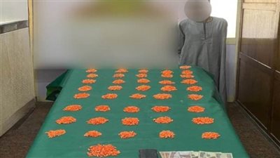 ضبط بؤر إجرامية شديدة الخطورة لتجارة المخدرات بنطاق عدة محافظات
