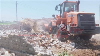 إزالة 10 حالات تعدٍ علي الأرض الزراعية ضمن الموجة الـ26 بمدينة كفر الشيخ