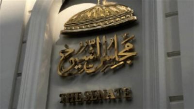 بالأرقام.. خريطة المنافسة على مقاعد الفردى