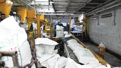 أرقام مصرية قياسية فى الغذاء والدواء والطاقة