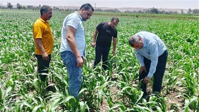 محافظ أسيوط يؤكد حرصه على توفير الدعم اللازم للقطاع الزراعي والمزارعين
