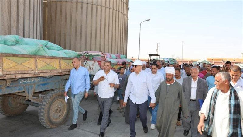 توريد محصول القمح