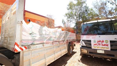 توزيع 600 كرتونة غذائية و7 أطنان من السلع الأساسية للأسر الأولى بالرعاية