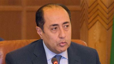 السفير زكي: مؤتمر حل الدولتين ينعقد في ظل ظروف صعبة تمر بها القضية الفلسطينية