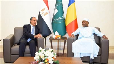 وزير الخارجية: الحكومة المصرية تولي أهمية لدعم مشروعات التنمية في تشاد