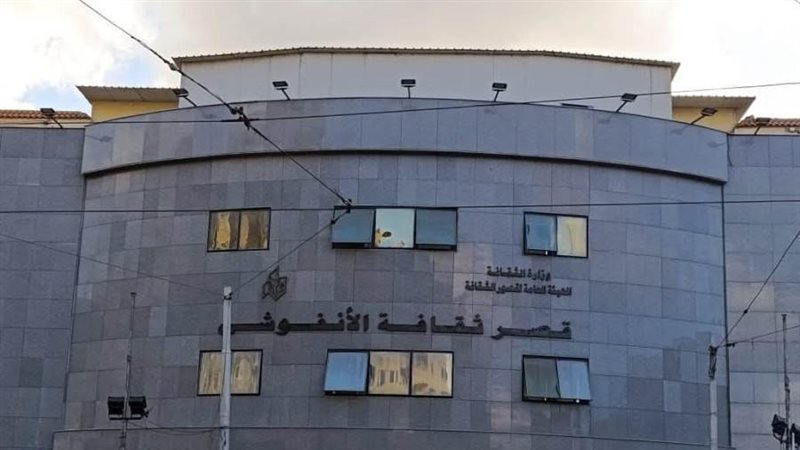 قصر ثقافة الانفوشى