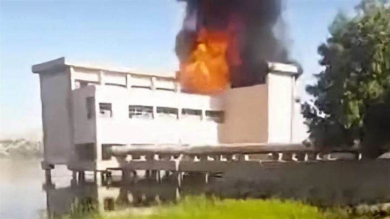 بوابة روز اليوسف